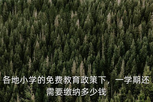 深圳上小學一學期多少錢,一學期還需要繳納多少錢