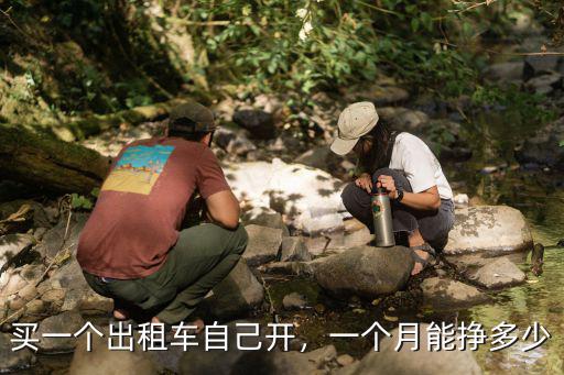 在濟南開出租車一月能掙多少,濟南出租車還能生存多久
