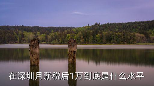 深圳一萬五的工資稅后多少,在深圳月工資一萬五
