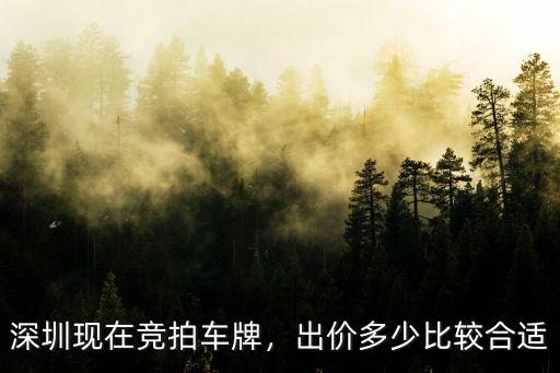 深圳現在競拍車牌，出價多少比較合適