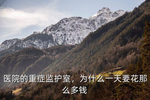 威海市立醫院重癥監護室一天多少錢,醫院的重癥監護室
