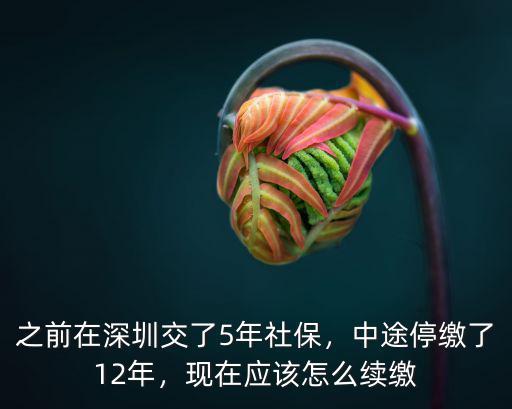 深圳社保停交了12年怎么辦,之前在深圳交了5年社保