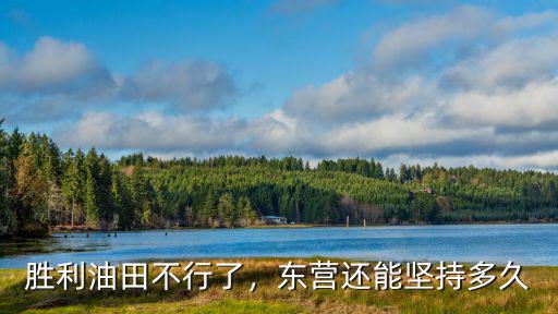 東營勝利油田有多少石油可采,東營如果沒了石油