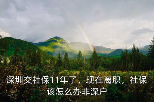 深圳社保交了11年怎么辦,深圳交社保11年了