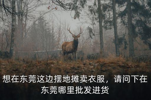 東莞小件批發(fā)市場在哪里,請問下在東莞哪里批發(fā)進貨