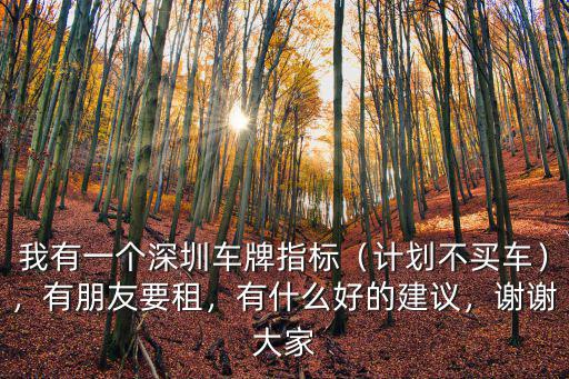 我有一個深圳車牌指標（計劃不買車），有朋友要租，有什么好的建議，謝謝大家