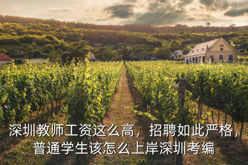 怎么考進深圳帶編老師,普通學生該怎么上岸深圳考編