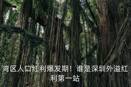 灣區(qū)人口紅利爆發(fā)期！誰是深圳外溢紅利第一站