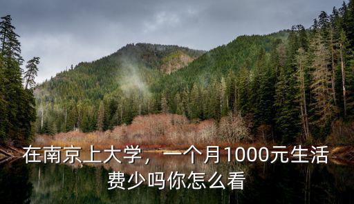 南京老百姓一個月多少生活費,一個月需要多少生活費