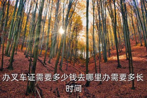 濱州市叉車證辦理多少錢,辦叉車證需要多少錢