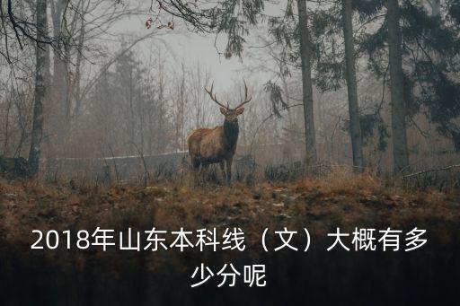 2018年山東本科線（文）大概有多少分呢