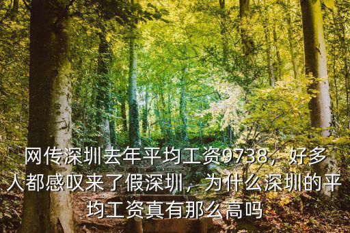 網傳深圳去年平均工資9738，好多人都感嘆來了假深圳，為什么深圳的平均工資真有那么高嗎