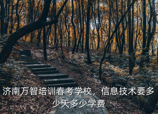 濟(jì)南萬(wàn)智培訓(xùn)春考學(xué)校，信息技術(shù)要多少天多少學(xué)費(fèi)
