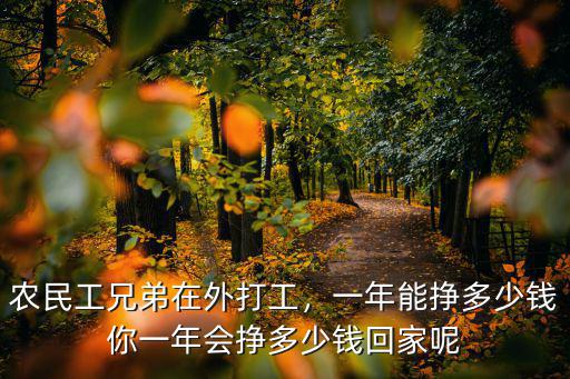 農民工兄弟在外打工，一年能掙多少錢你一年會掙多少錢回家呢