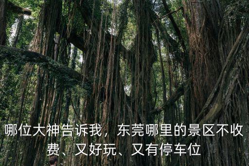 東莞網紅大山在哪里,東莞哪里適合情侶玩