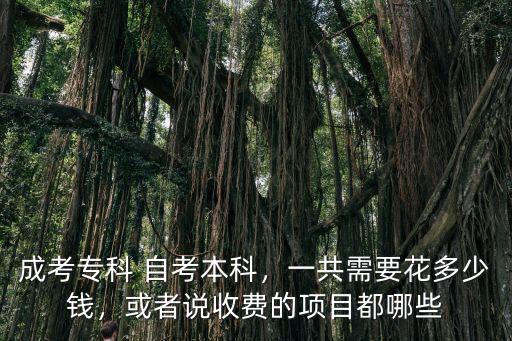 成考專科 自考本科，一共需要花多少錢，或者說收費的項目都哪些