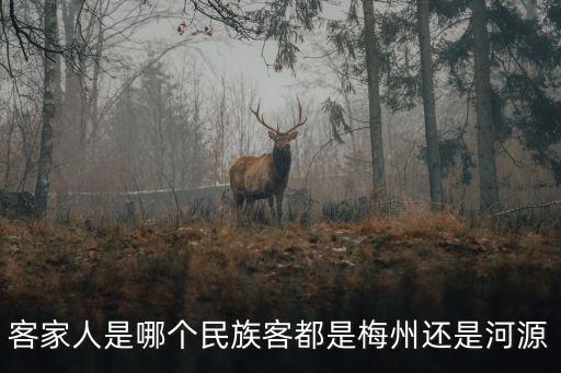 客家人是哪個民族客都是梅州還是河源