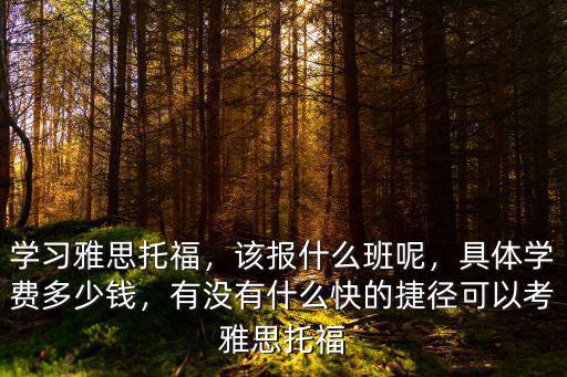 蘇州雅思報(bào)班大概多少錢,報(bào)班考雅思大概要多少錢