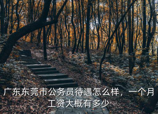 廣東獄警工資一般有多少錢一個月,廣東東莞市公務員待遇怎么樣