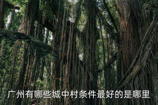 廣州有哪些城中村條件最好的是哪里