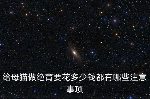絕育貓多少錢廣東,公貓絕育多少錢