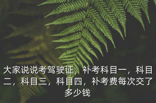 江門考駕照補(bǔ)考多少錢,大家說說考駕駛證