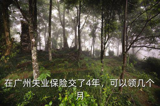 廣州失業保險金每月領多少,在廣州失業保險交了4年