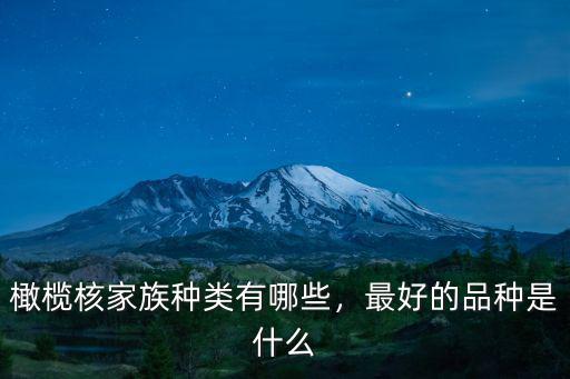 廣東文玩橄欖核產地在哪里,橄欖核家族種類有哪些