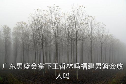 廣東男籃會拿下王哲林嗎福建男籃會放人嗎
