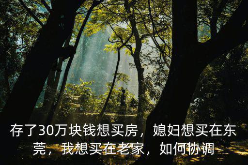 存了30萬塊錢想買房，媳婦想買在東莞，我想買在老家，如何協調