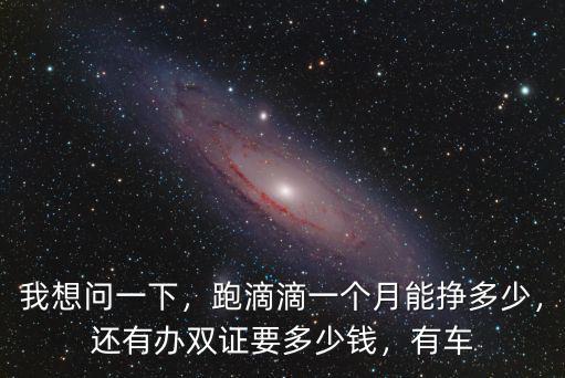 我想問一下，跑滴滴一個月能掙多少，還有辦雙證要多少錢，有車