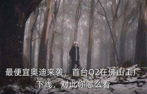 最便宜奧迪來襲，首臺Q2在佛山工廠下線，對此你怎么看