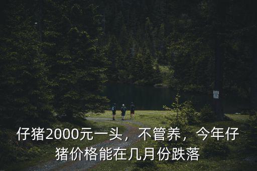 仔豬2000元一頭，不管養，今年仔豬價格能在幾月份跌落