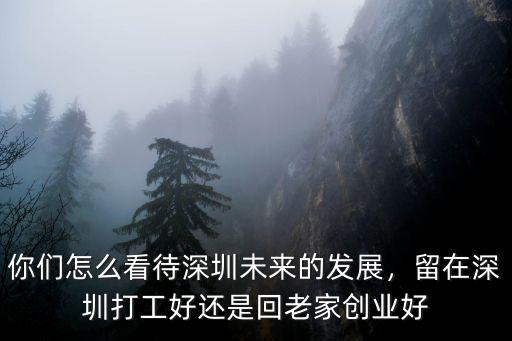 你們怎么看待深圳未來的發展，留在深圳打工好還是回老家創業好