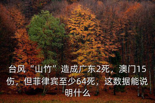 臺風山竹過后廣州死了多少人,臺風山竹過后