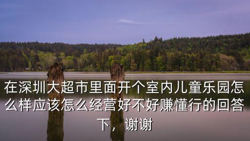 在深圳大超市里面開個室內兒童樂園怎么樣應該怎么經營好不好賺懂行的回答下，謝謝