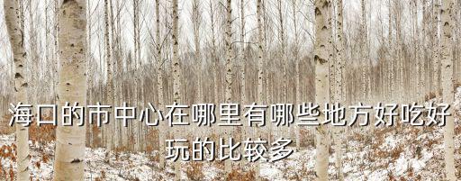 廣州哪里的海南粉好吃的,海口的市中心在哪里