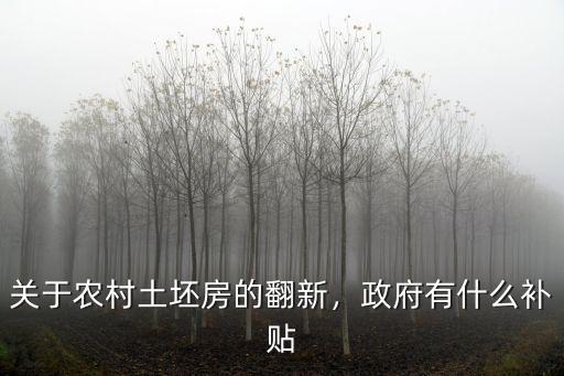 房屋修繕政府補(bǔ)貼濟(jì)南補(bǔ)多少,貧困建房政府扶持多少錢(qián)