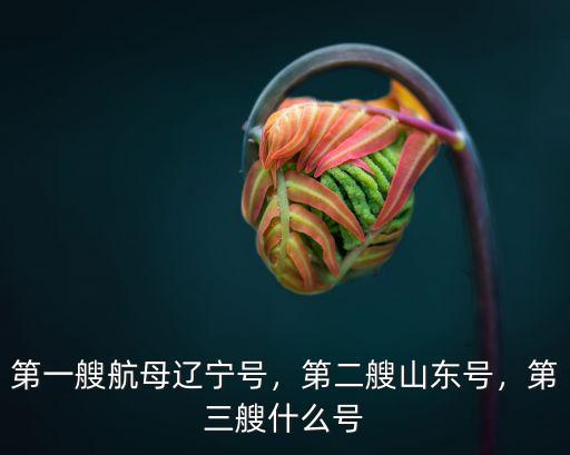 第一艘航母遼寧號，第二艘山東號，第三艘什么號