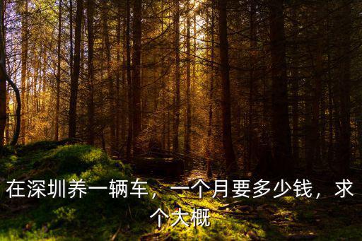 在深圳養(yǎng)一輛車，一個(gè)月要多少錢，求個(gè)大概