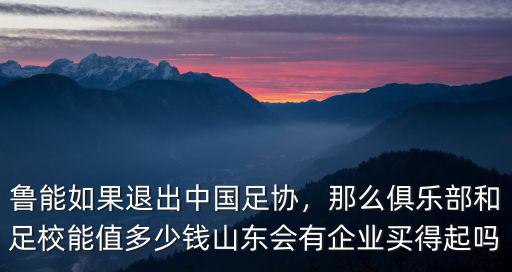 魯能如果退出中國足協，那么俱樂部和足校能值多少錢山東會有企業買得起嗎
