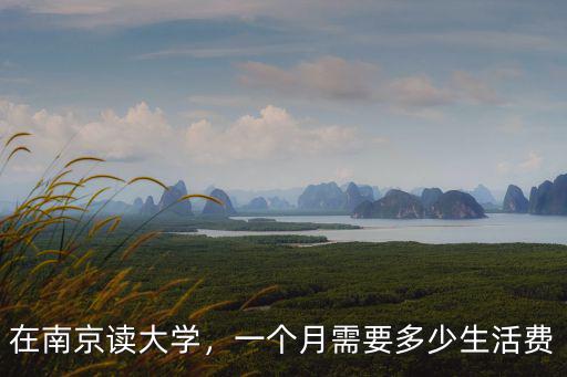 南京上大學生活費大概多少,在南京上大學一年要花多少錢