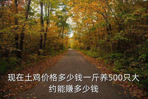 棗莊士雞賣多少錢一斤,養500只大約能賺多少錢