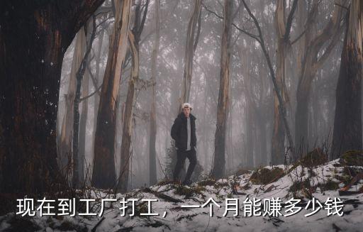 現在到工廠打工，一個月能賺多少錢