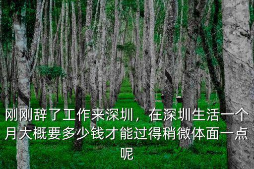 深圳打工一餐多少錢,大城市打工一天花多少錢做飯