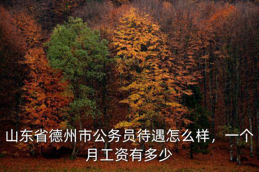 德州獄警工資一般多少,公務員的工資到底是多少