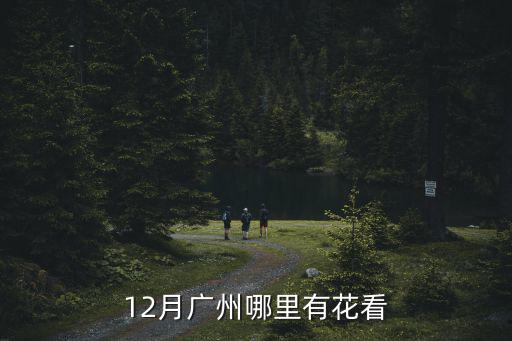 12月廣州哪里有花看