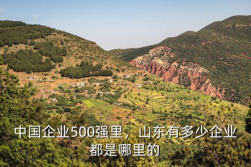 山東有多少韓資企業,中國企業500強里
