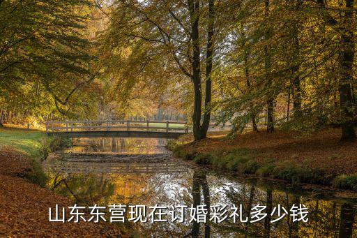 山東婚嫁禮儀會有多少聘禮,山東東營現(xiàn)在訂婚彩禮多少錢