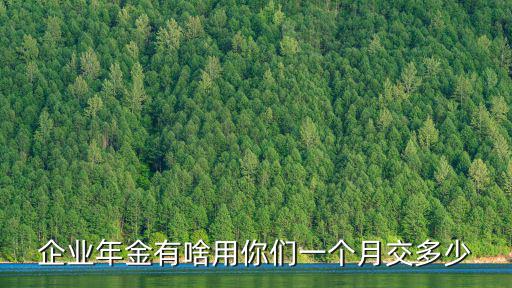 企業年金有啥用你們一個月交多少
